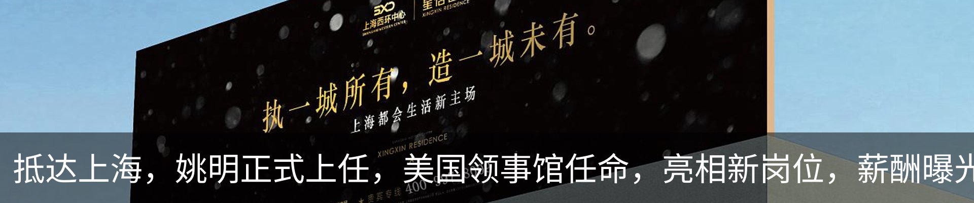 新闻动态